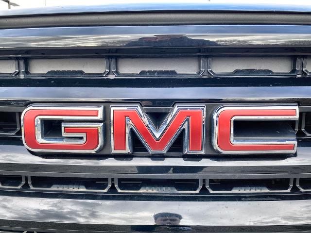 2021 GMC Sierra 1500 Vehicle Photo in WILLIAMSVILLE, NY 14221-2883