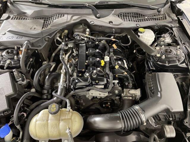2022 Ford Mustang Vehicle Photo in PHOENIX, AZ 85014-3381