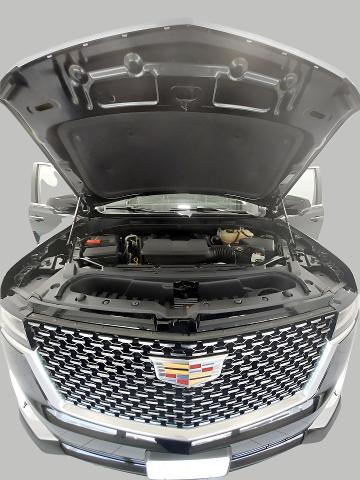 2022 Cadillac Escalade Vehicle Photo in OSHKOSH, WI 54904-7811