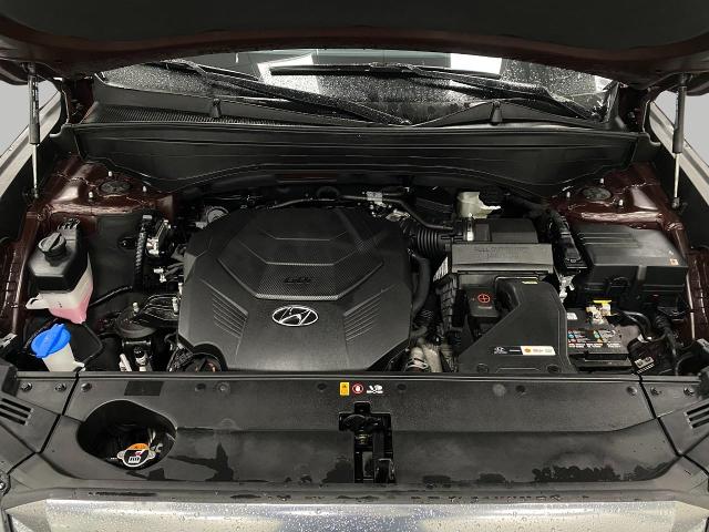 2024 Hyundai PALISADE Vehicle Photo in Appleton, WI 54913