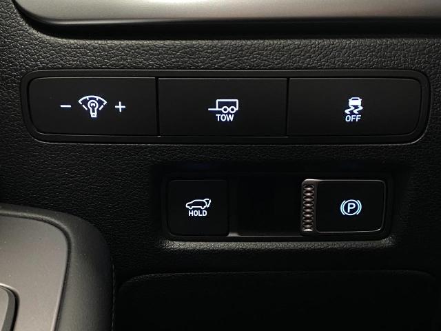 2025 Hyundai PALISADE Vehicle Photo in Appleton, WI 54913