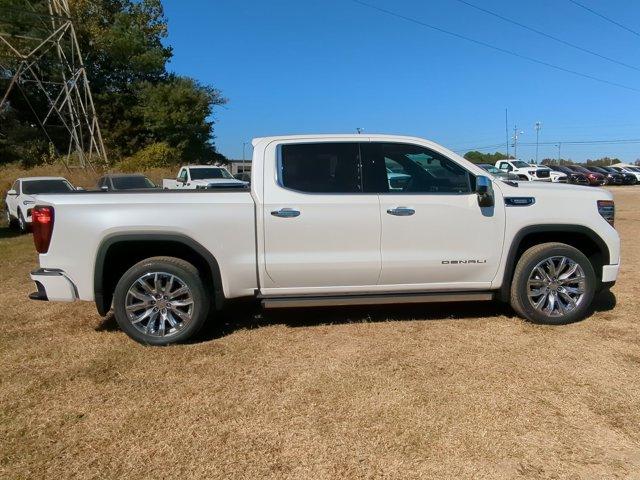 2025 GMC Sierra 1500 Vehicle Photo in ALBERTVILLE, AL 35950-0246