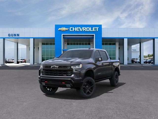 2024 Chevrolet Silverado 1500 Vehicle Photo in SELMA, TX 78154-1460