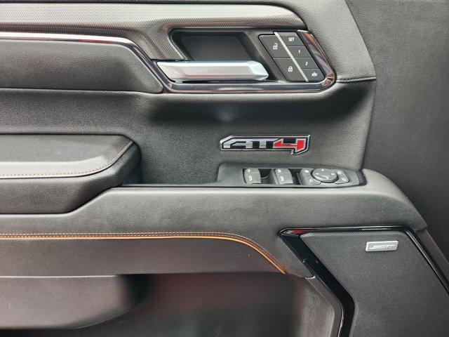 2024 GMC Sierra 1500 Vehicle Photo in Decatur, TX 76234