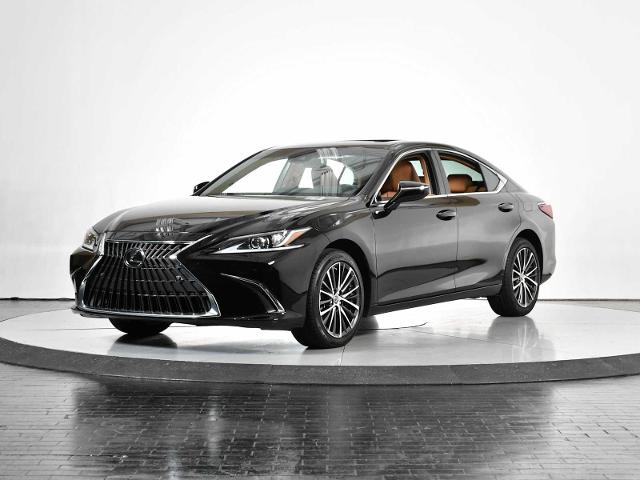 2024 Lexus ES 250 Vehicle Photo in DALLAS, TX 75235
