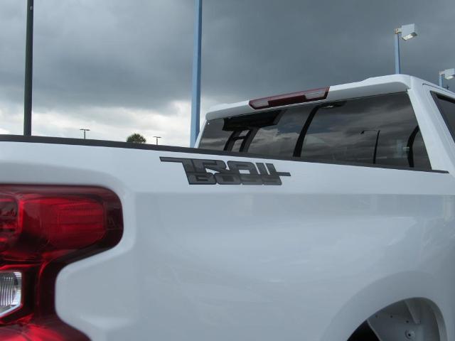 2025 Chevrolet Silverado 1500 Vehicle Photo in LEESBURG, FL 34788-4022