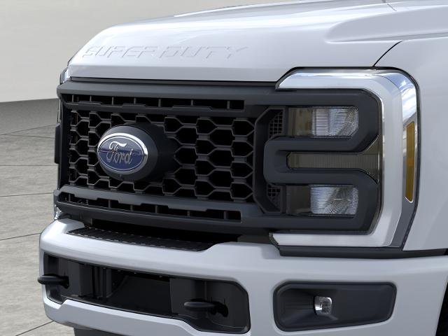 2025 Ford Super Duty F-350 SRW Vehicle Photo in Neenah, WI 54956