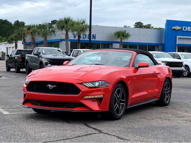 2023 Ford Mustang Vehicle Photo in BEAUFORT, SC 29906-4218