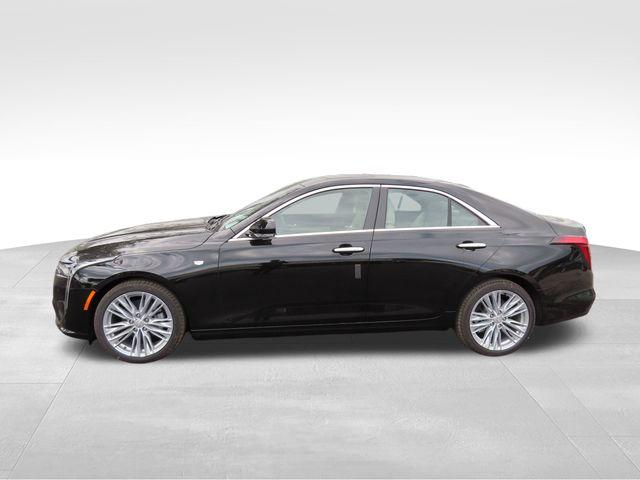 2025 Cadillac CT4 Vehicle Photo in DELRAY BEACH, FL 33483-3294