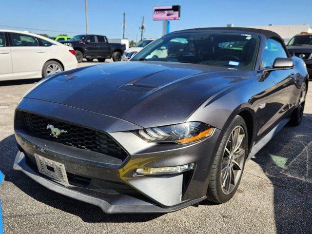 2019 Ford Mustang Vehicle Photo in SUGAR LAND, TX 77478-0000