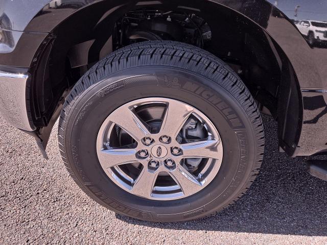 2019 Ford F-150 Vehicle Photo in NEDERLAND, TX 77627-8017