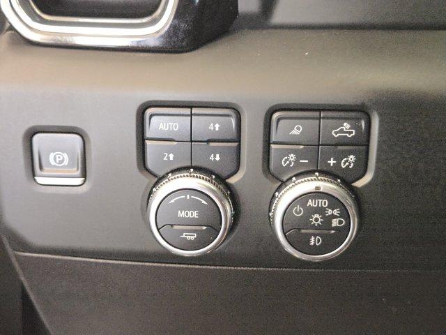 2024 GMC Sierra 1500 Vehicle Photo in Decatur, TX 76234