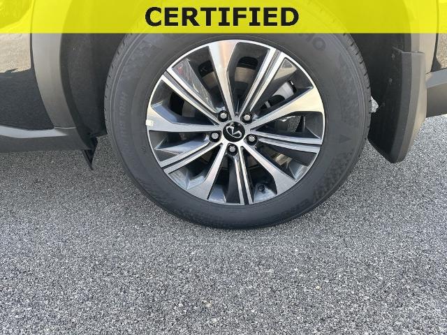2024 INFINITI QX60 Vehicle Photo in San Antonio, TX 78230
