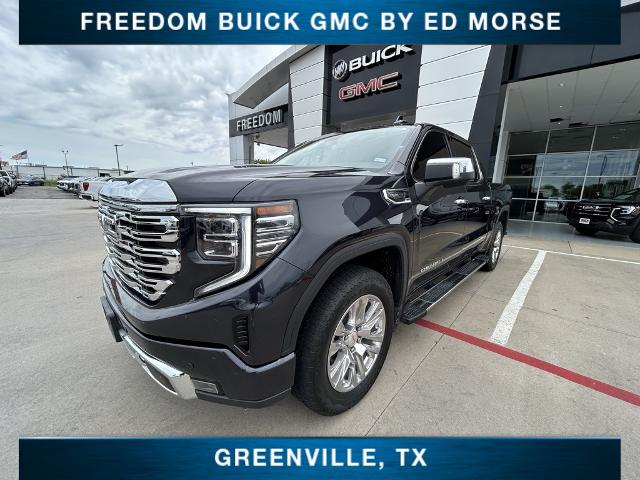 2023 GMC Sierra 1500 Vehicle Photo in Greenville, TX 75402