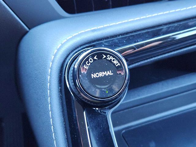 2024 Lexus NX 250 Vehicle Photo in FORT WORTH, TX 76132
