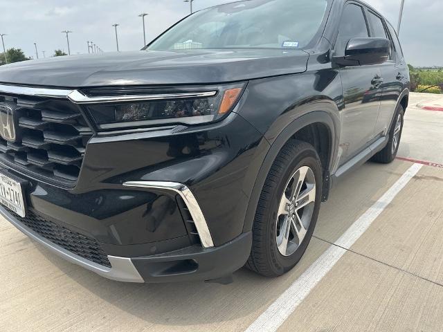 2024 Honda Pilot Vehicle Photo in San Antonio, TX 78230
