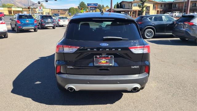 2021 Ford Escape Vehicle Photo in FLAGSTAFF, AZ 86001-6214