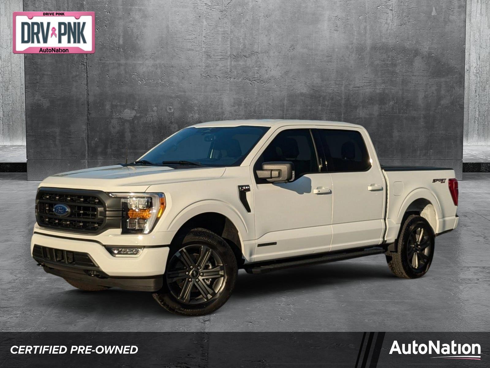 2023 Ford F-150 Vehicle Photo in St. Petersburg, FL 33713