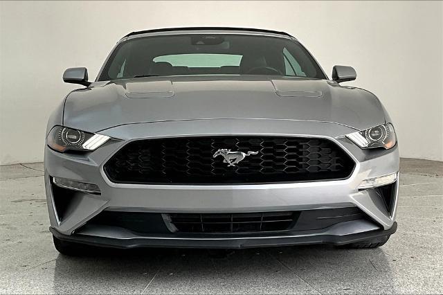 2023 Ford Mustang Vehicle Photo in Grapevine, TX 76051