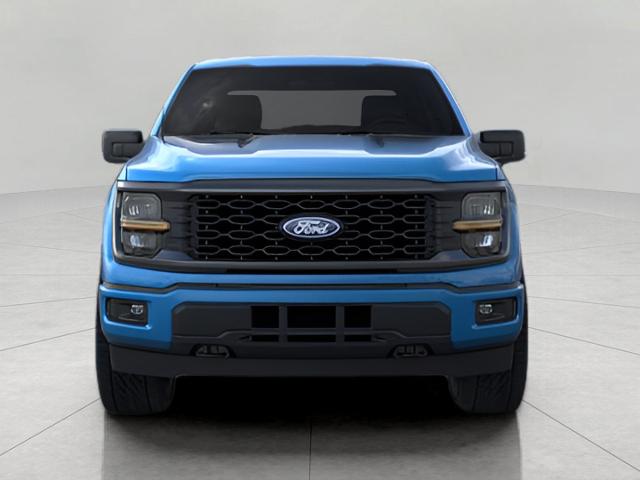 2025 Ford F-150 Vehicle Photo in Neenah, WI 54956