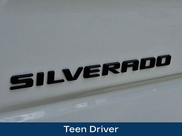 2025 Chevrolet Silverado 1500 Vehicle Photo in PAWLING, NY 12564-3219