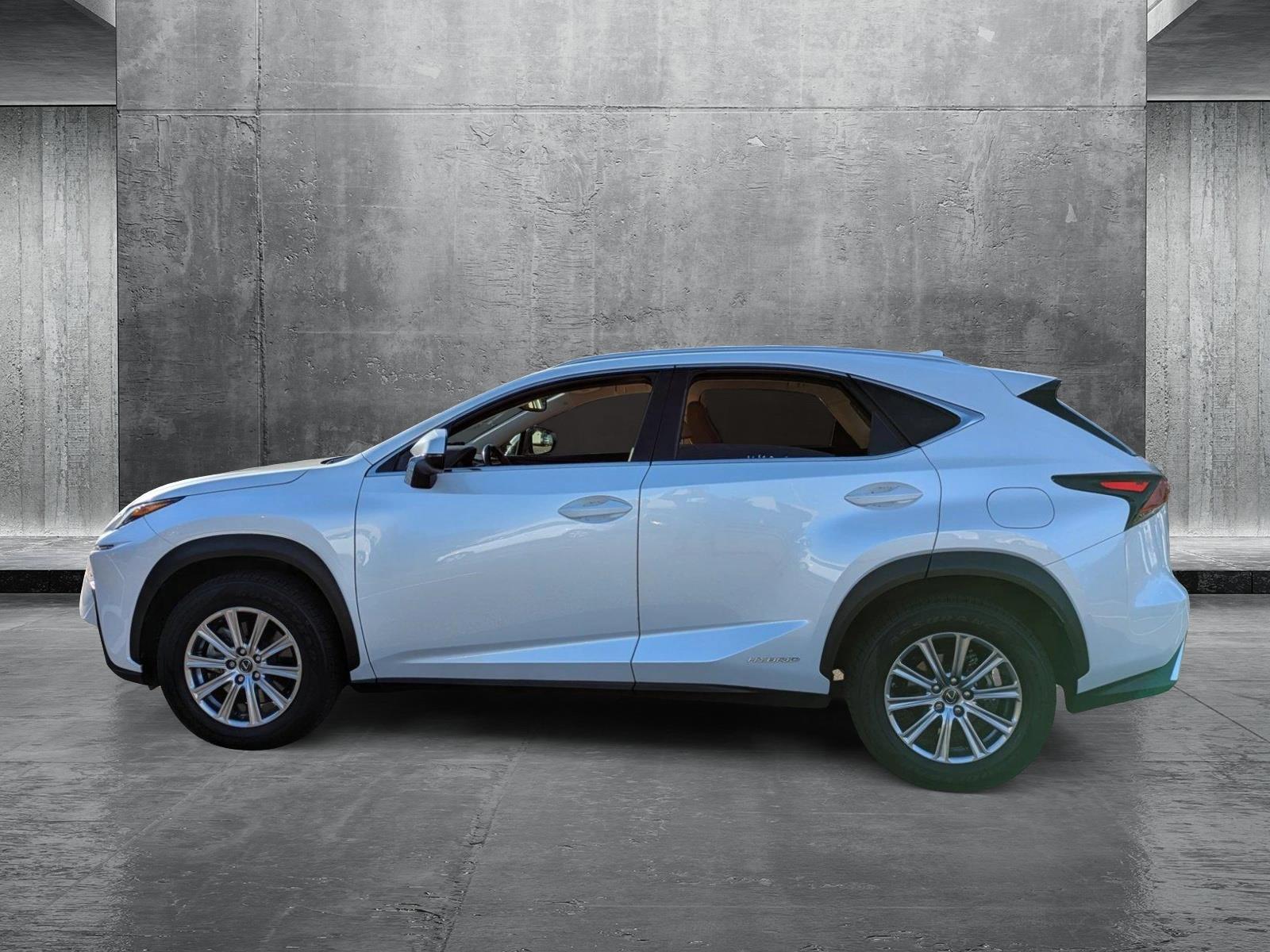 2020 Lexus NX 300h Vehicle Photo in Clearwater, FL 33761