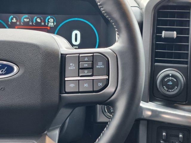 2021 Ford F-150 Vehicle Photo in SUGAR LAND, TX 77478-0000