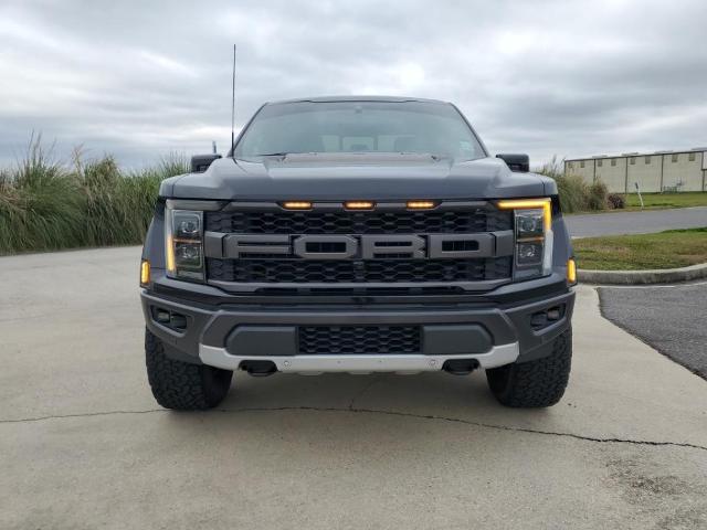 2022 Ford F-150 Vehicle Photo in BROUSSARD, LA 70518-0000