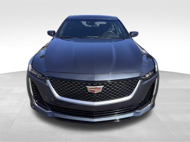 2021 Cadillac CT5 Vehicle Photo in DELRAY BEACH, FL 33483-3294