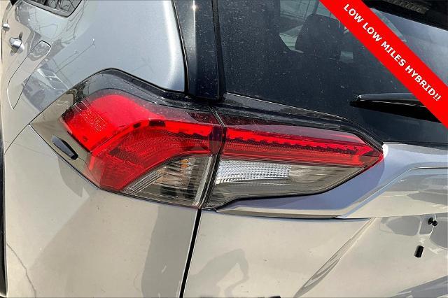 2024 Toyota RAV4 Vehicle Photo in Grapevine, TX 76051