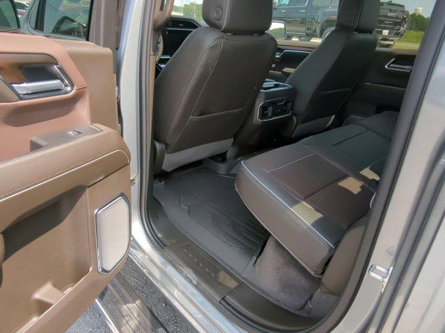 2025 GMC Sierra 1500 Vehicle Photo in ALBERTVILLE, AL 35950-0246