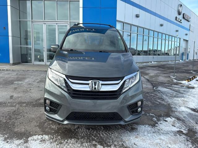 Used 2019 Honda Odyssey EX-L with VIN 5FNRL6H72KB075998 for sale in Gillette, WY