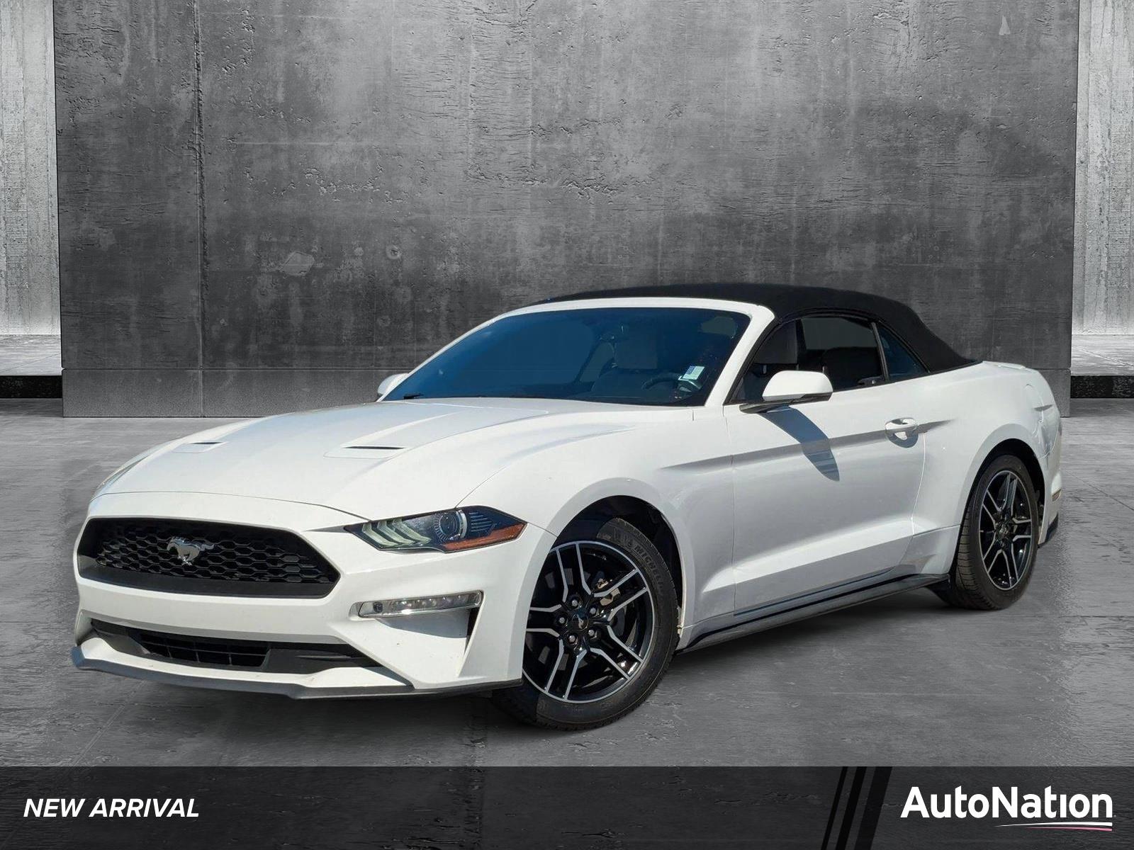 2019 Ford Mustang Vehicle Photo in St. Petersburg, FL 33713