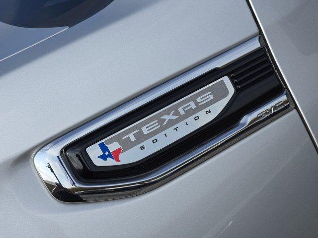 2022 GMC Sierra 1500 Vehicle Photo in Decatur, TX 76234