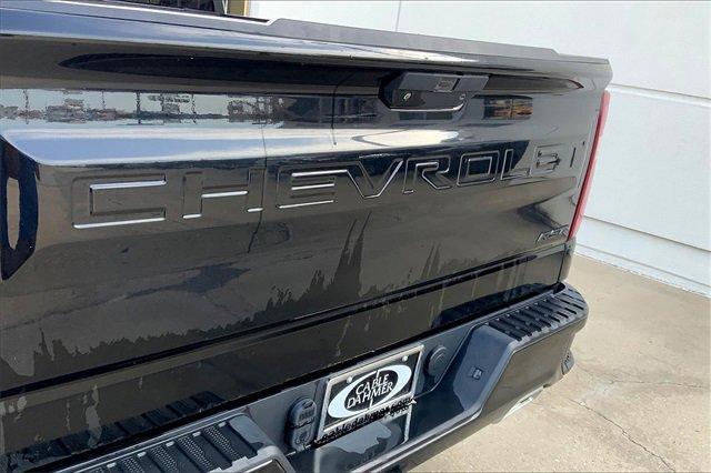 2020 Chevrolet Silverado 1500 Vehicle Photo in TOPEKA, KS 66609-0000