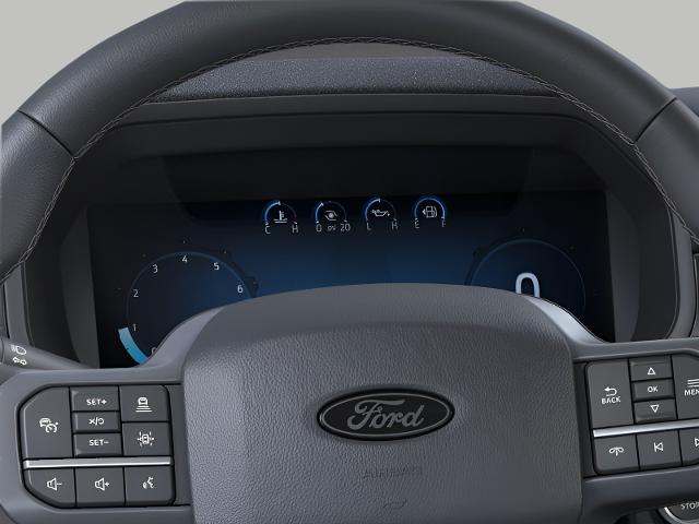 2025 Ford F-150 Vehicle Photo in Oshkosh, WI 54901