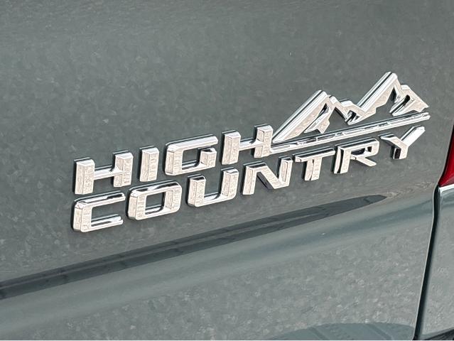 2026 Chevrolet Silverado 1500 Vehicle Photo in SAVANNAH, GA 31406-4513