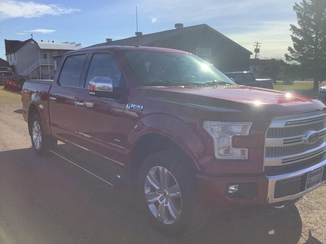 2015 Ford F-150 Platinum photo 7