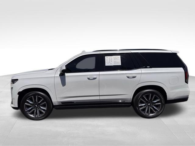 2022 Cadillac Escalade Vehicle Photo in DELRAY BEACH, FL 33483-3294