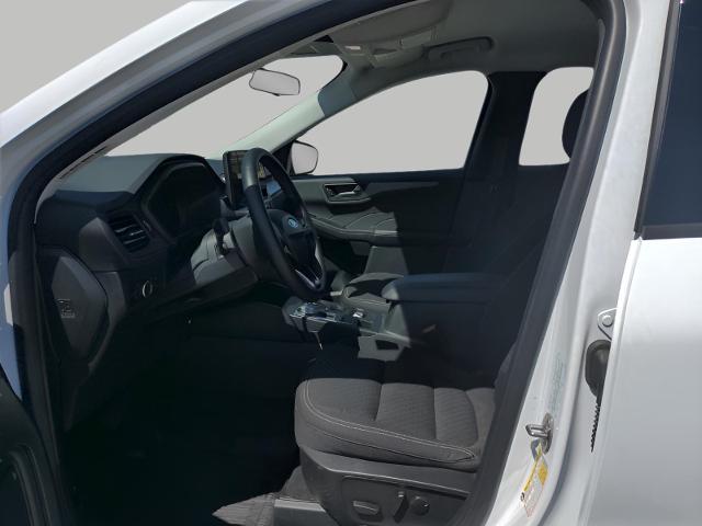 2023 Ford Escape Vehicle Photo in Green Bay, WI 54304
