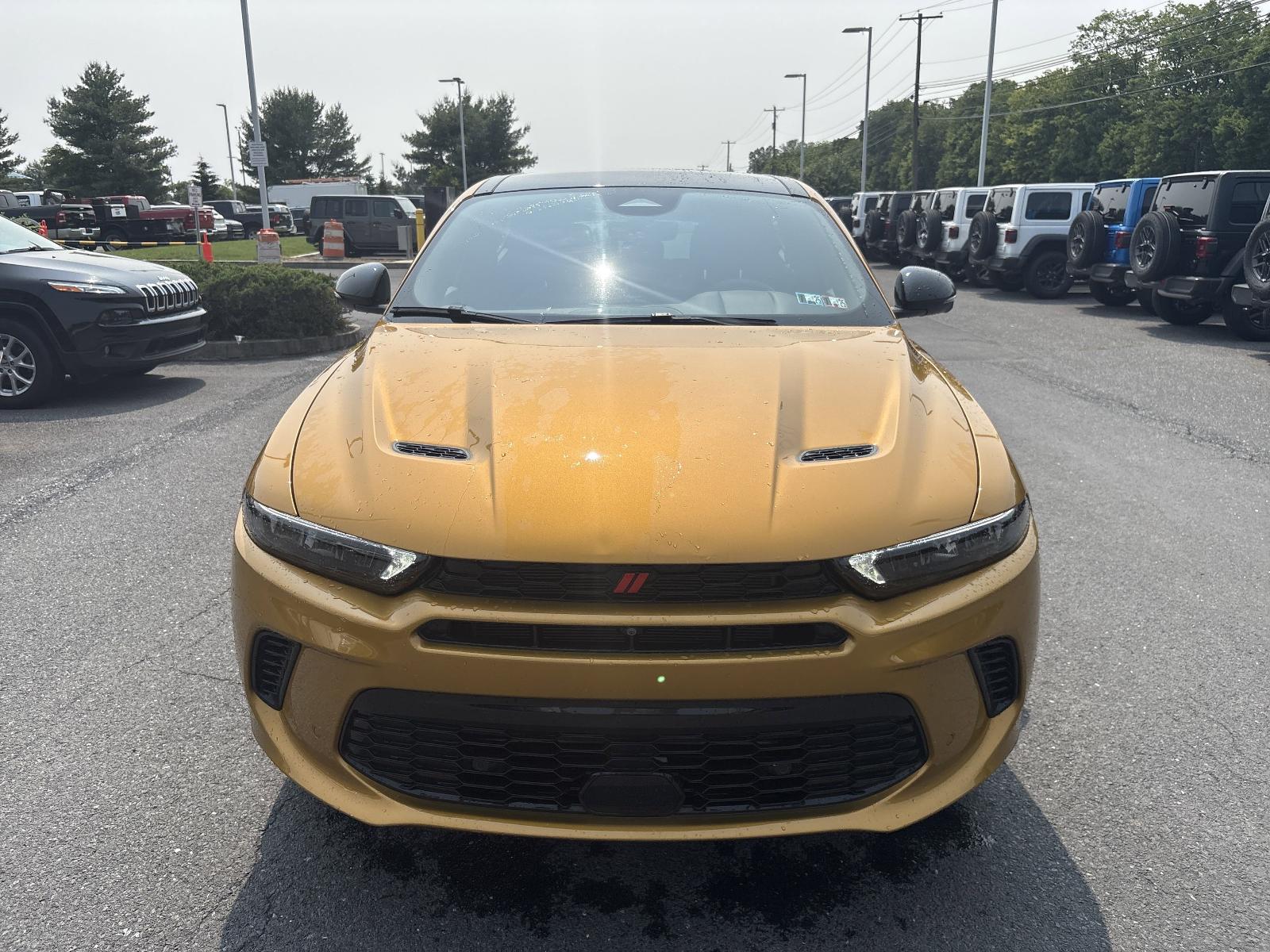2024 Dodge Hornet Vehicle Photo in Mechanicsburg, PA 17050-1707