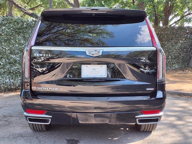 2022 Cadillac Escalade Vehicle Photo in San Antonio, TX 78230-1001