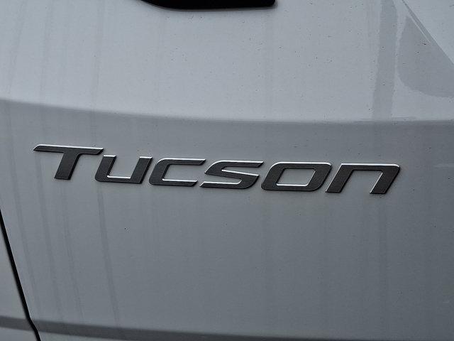 2025 Hyundai TUCSON Vehicle Photo in Philadelphia, PA 19116