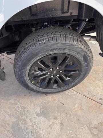 2025 Ford F-150 Vehicle Photo in Winslow, AZ 86047-2439