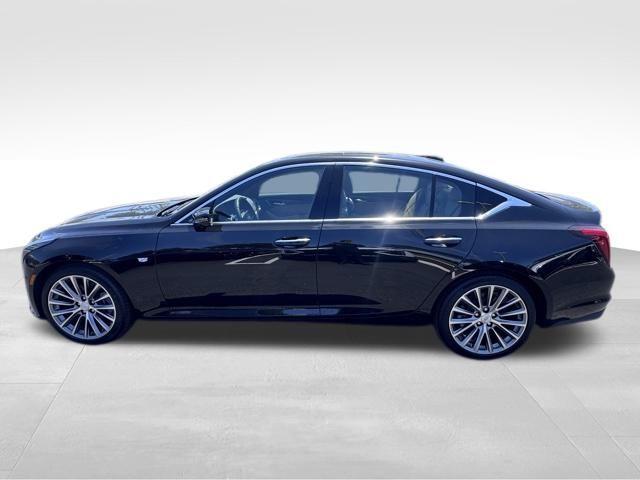 2025 Cadillac CT5 Vehicle Photo in DELRAY BEACH, FL 33483-3294