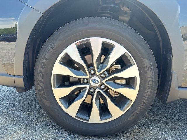 2024 Subaru Outback Vehicle Photo in Willow Grove, PA 19090