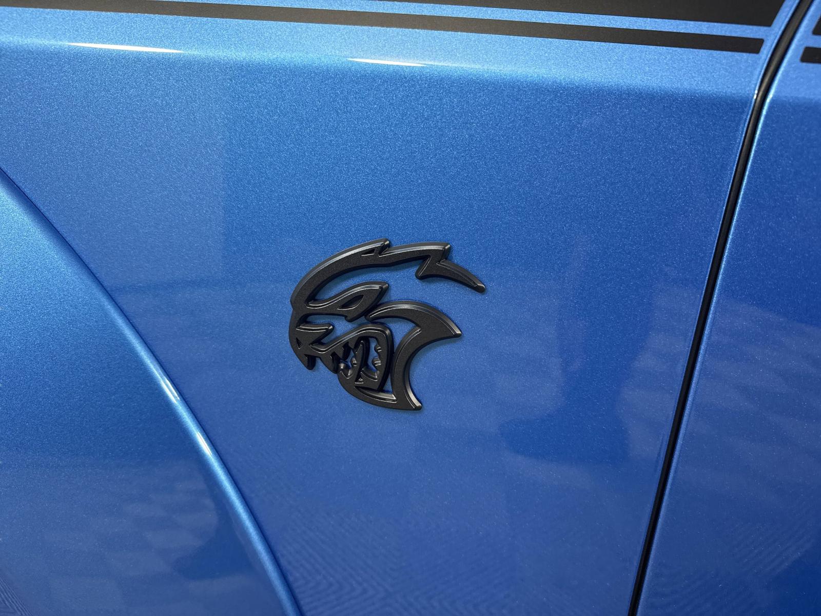 2023 Dodge Challenger Vehicle Photo in GEORGETOWN, TX 78626-7508