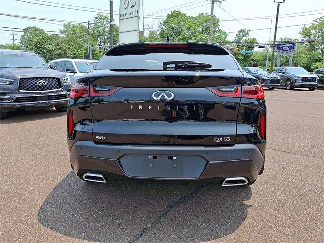 2022 INFINITI QX55 Vehicle Photo in Willow Grove, PA 19090