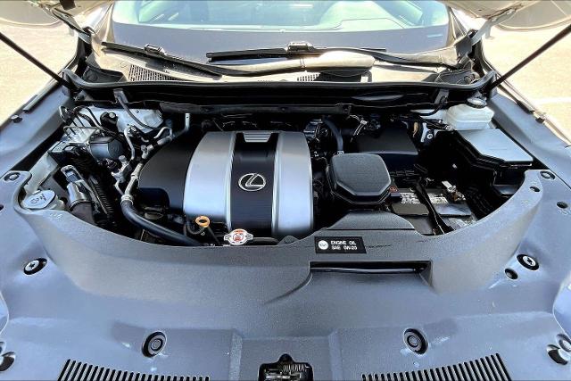 2019 Lexus RX 350 Vehicle Photo in San Antonio, TX 78230