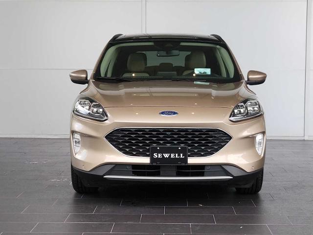 2020 Ford Escape Vehicle Photo in HOUSTON, TX 77079